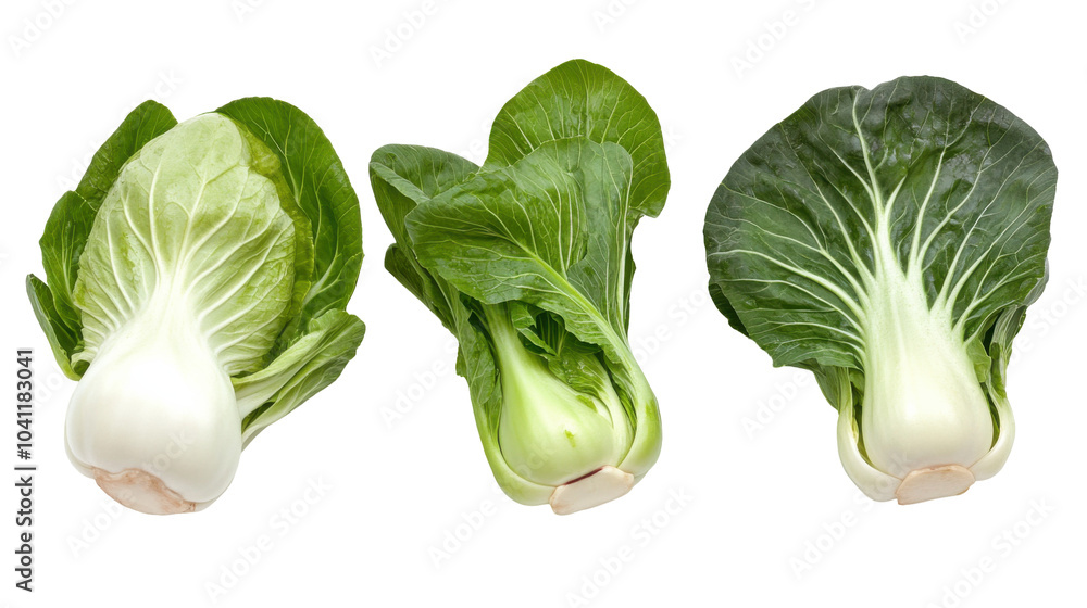 Wall mural Fresh stir fried bok choy trio for culinary designs and healthy eating concepts - transparent background png