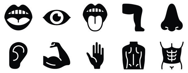 Human Body Icon Set Anatomical Line Style Collection for Health and Wellness