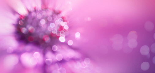 Abstract floral blurred background. Purple bokeh background. Defocused lights. Colorful light circles spreading.
