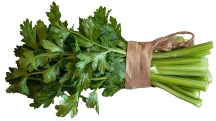 Fresh celery bunch isolated for healthy cooking and digital media design - transparent background png