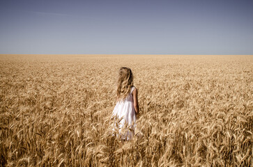 Young girl in white dress in a field of wheat