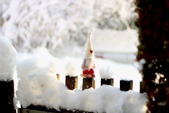 Christmas gnom on a fence