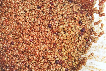 Coffee beans,In the ferment and wash method of wet processing