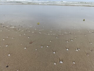 This beautiful image captures a pristine sandy beach, where gentle ocean waves kiss the shore under a bright blue sky.