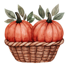 Pumpkins in a woven basket, white isolate background , transparent, Clipart
