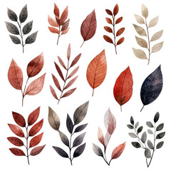 Various colorful foliage illustration , transparent, Clipart