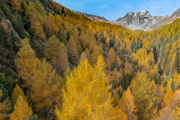 Autumn landscape in the mountains, drone view in Valmalenco, Italy