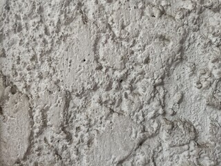 This image features a versatile concrete background, showcasing a textured surface that highlights the raw and industrial beauty of concrete.