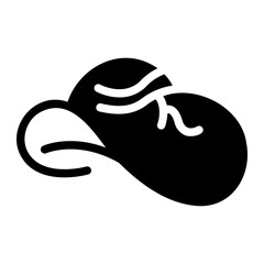 pamela hat Solid icon