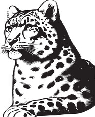 snow leopard vector