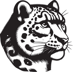 snow leopard vector