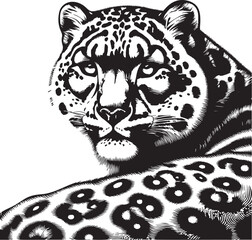 snow leopard vector