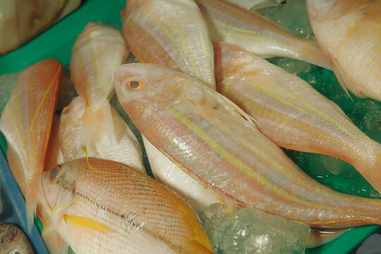 Isla sa Bato or Coral Fish being sold in the Market in Philippines. Shallow Depth of Field.