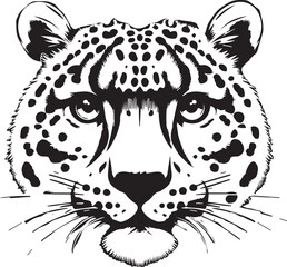 snow leopard vector