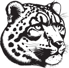 snow leopard vector