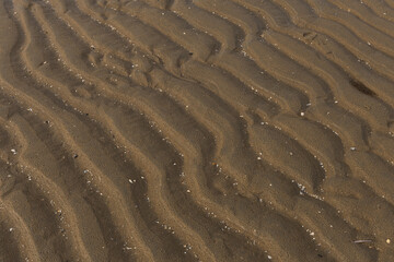 wavy sandy bottom of the northern sea without water