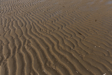 wavy sandy bottom of the northern sea without water