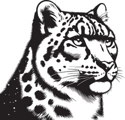 snow leopard vector