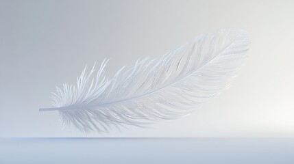 Obraz premium Single white feather with intricate patterns, softly suspended in mid-air against a clear background.