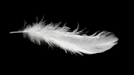 Obraz premium White feather drifting sideways in the air, highlighting its soft and delicate texture.