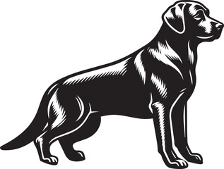 Labrador rottweiler dog vector