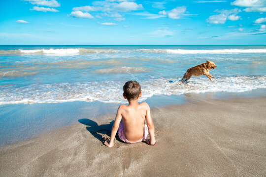 Little boy on the beach watching the sea with a dog playing