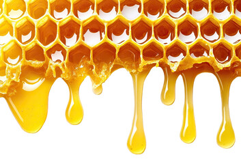 Delicious honeycomb dripping with golden honey, isolated on transparent cutout background
