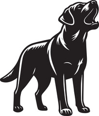 Bull dog vector in black and white