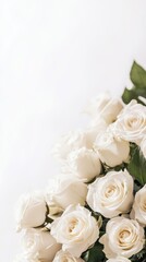 Obraz premium Elegant White Roses