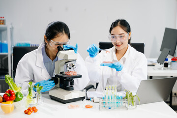 Fototapeta premium Food science as lab scientists test and analyze vegetables for safety and quality using advanced technology