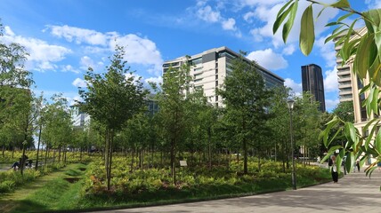 Vue sur les arbres de la forêt urbaine de la place de Catalogne, dans le quartier Montparnasse à Paris, en été (France)