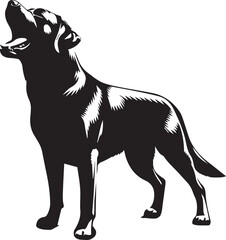 Bull dog vector in black and white