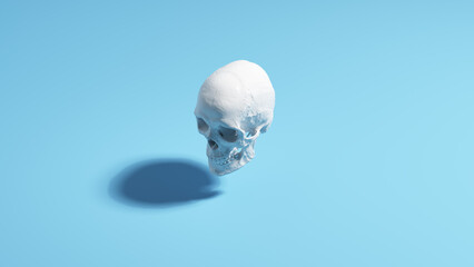 Skull human white pale blue background sunlight shadow classic simple 3d illustration render