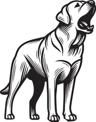 Bull dog vector in black and white