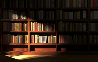 Fototapeta premium Books