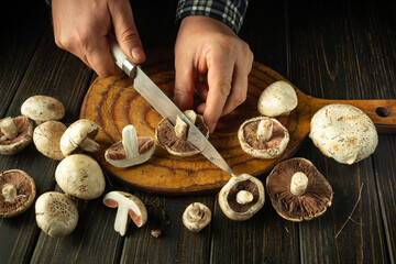 Fototapeta premium Chef cuts Agaricus mushroom with knife to prepare tasty food. Set of champignon mushrooms on antique kitchen table. Tasty recipe for breakfast or lunch