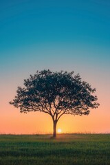 Obraz premium A Single Tree Silhouetted Against a Sunset Sky