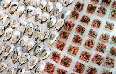 Fresh oysters and tartare served at a coastal seafood festival showcasing local cuisines