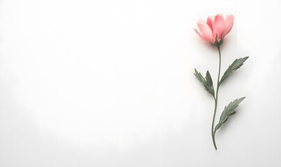 Minimalist_floral_composition,strewn_vase_elegant_luxurious flowers,generation AI