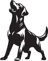Bull dog vector in black and white