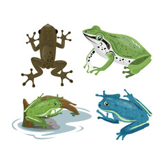 Four Colorful Frogs in Various Poses