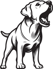 Bull dog vector in black and white