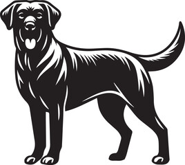 Bull dog vector in black and white