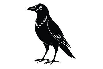 Crow silhouette vector illustration