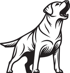 Bull dog vector in black and white
