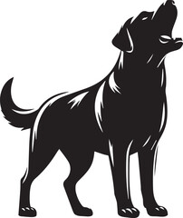 Bull dog vector in black and white
