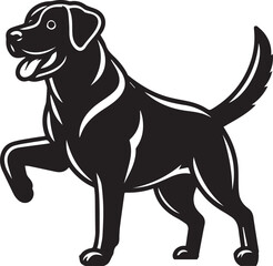 Bull dog vector in black and white