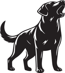 Bull dog vector in black and white