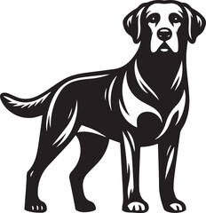 Bull dog vector in black and white