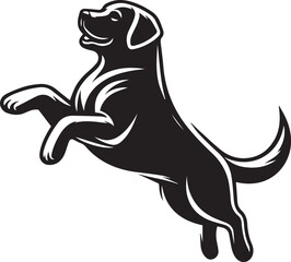 Bull dog vector in black and white